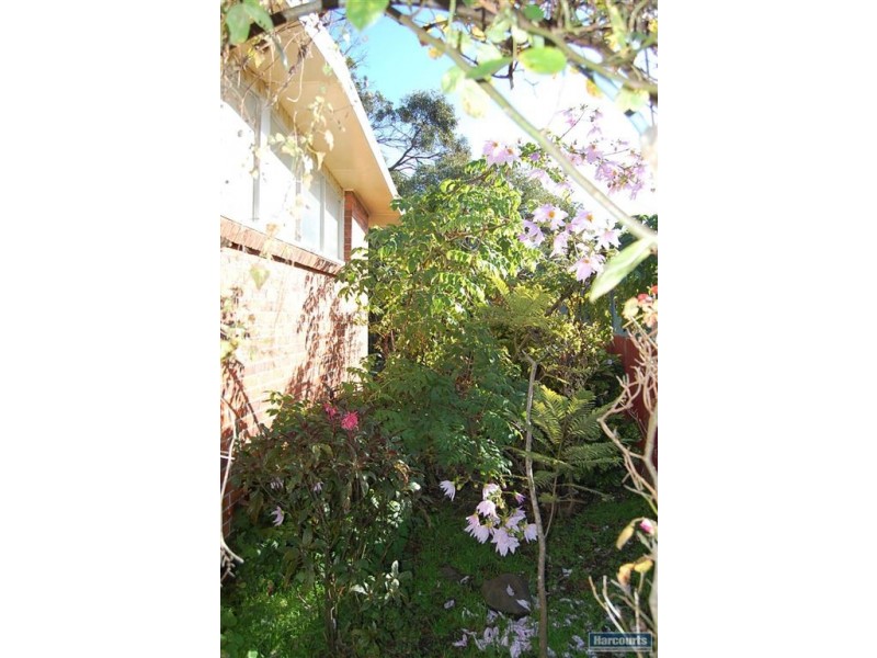 9 Cimitiere Street, George Town TAS 7253
