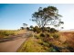 1024 Windermere Road, Swan Bay TAS 7252