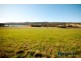 1024 Windermere Road, Swan Bay TAS 7252