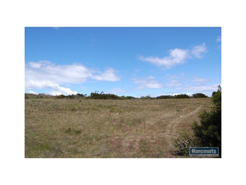 109 Bell Buoy Beach Road, Low Head TAS 7253
