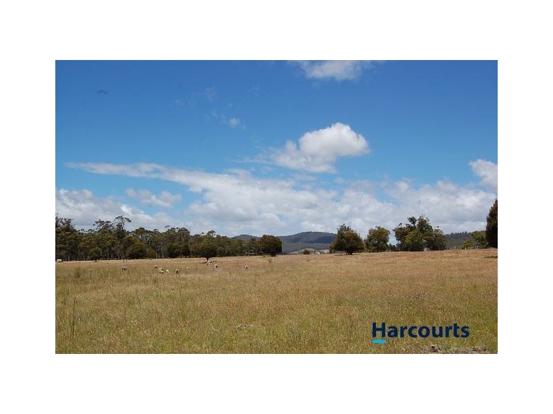 484 Dalrymple Road, Mount Direction TAS 7252