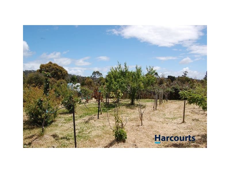 484 Dalrymple Road, Mount Direction TAS 7252