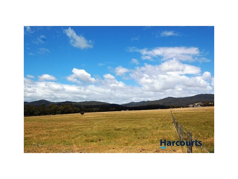 484 Dalrymple Road, Mount Direction TAS 7252