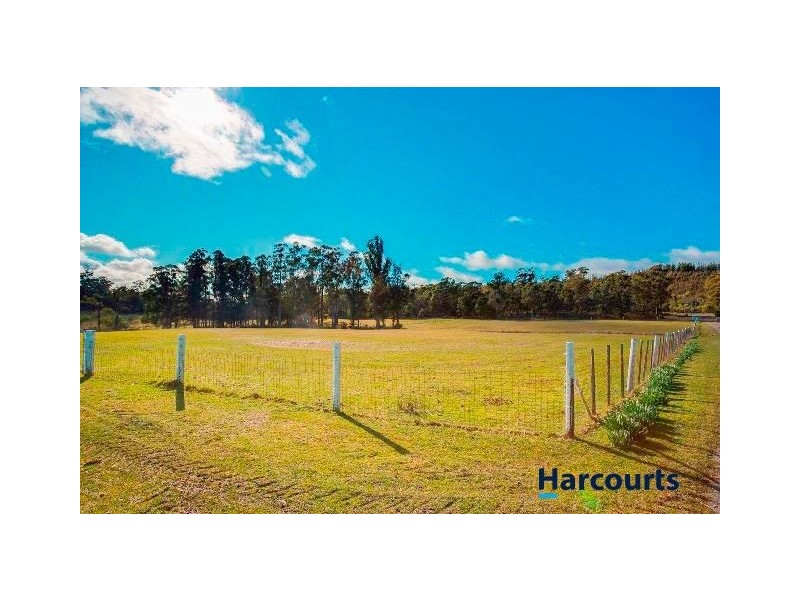 1951 Pipers River Road, Pipers River TAS 7252