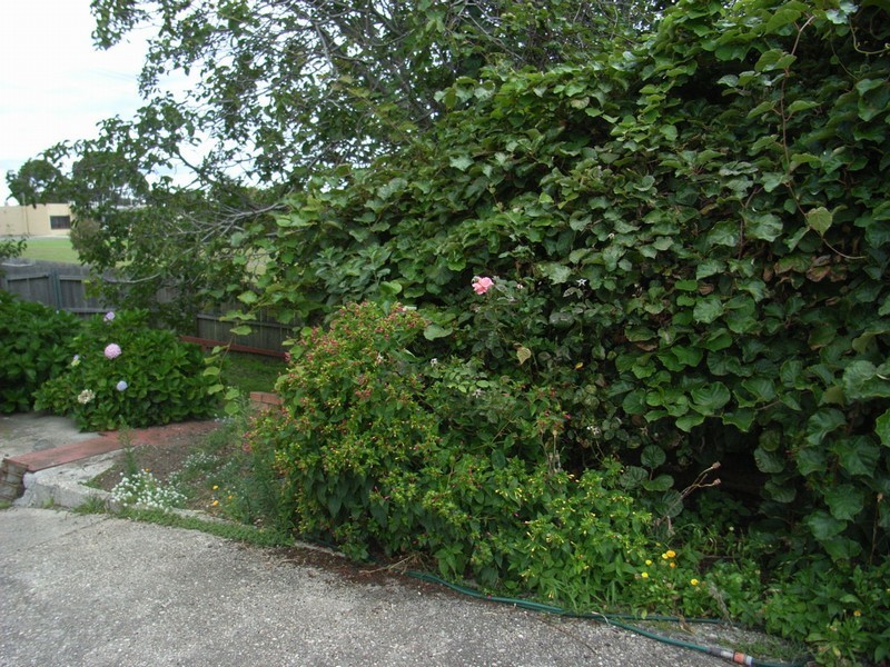 109 Macquarie Street, George Town TAS 7253