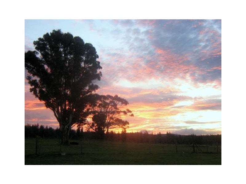 2557 Pipers River Road, Pipers River TAS 7252