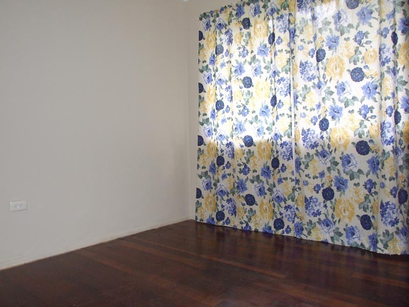 19 Parakeet Street, Birkdale QLD 4159