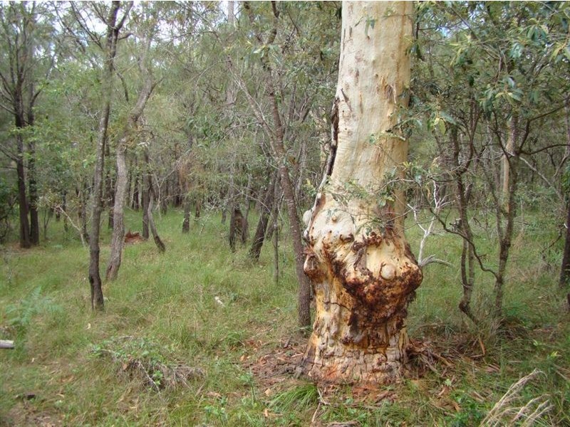 317 Redland Bay Road, Capalaba QLD 4157