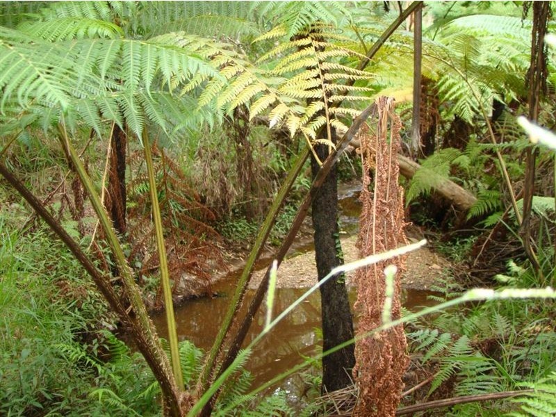 317 Redland Bay Road, Capalaba QLD 4157