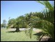 Thorneside QLD 4158