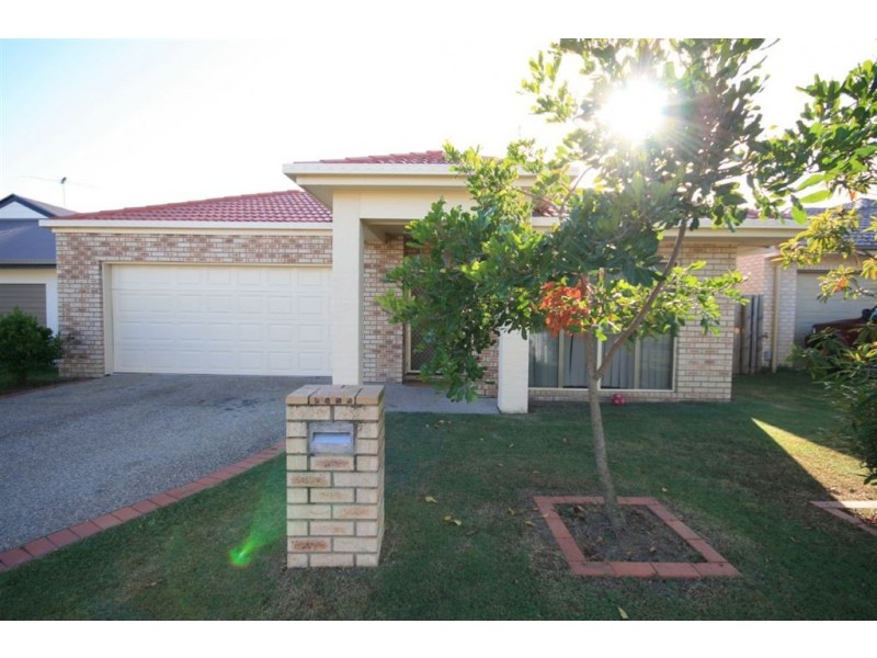 8 Dingo, North Lakes QLD 4509