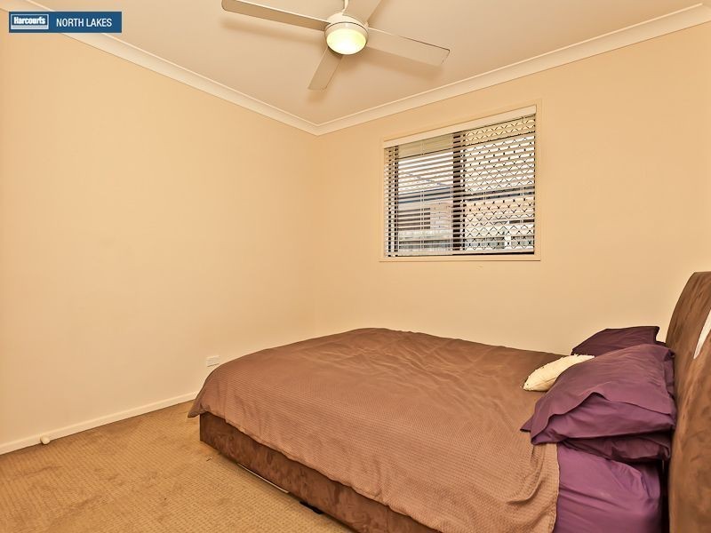 49 Kurrajong Circuit, North Lakes QLD 4509