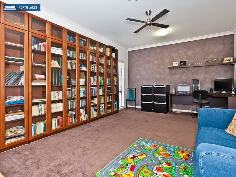 41 Numbat Street, North Lakes QLD 4509