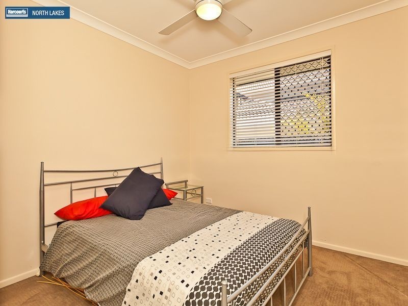 49 Kurrajong Circuit, North Lakes QLD 4509