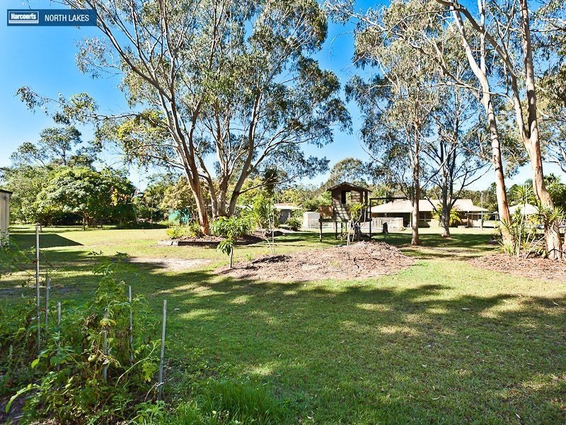 31 Carissalee Court, Burpengary QLD 4505