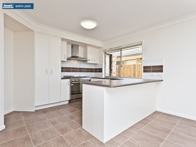 41 Daintree Circuit, North Lakes QLD 4509