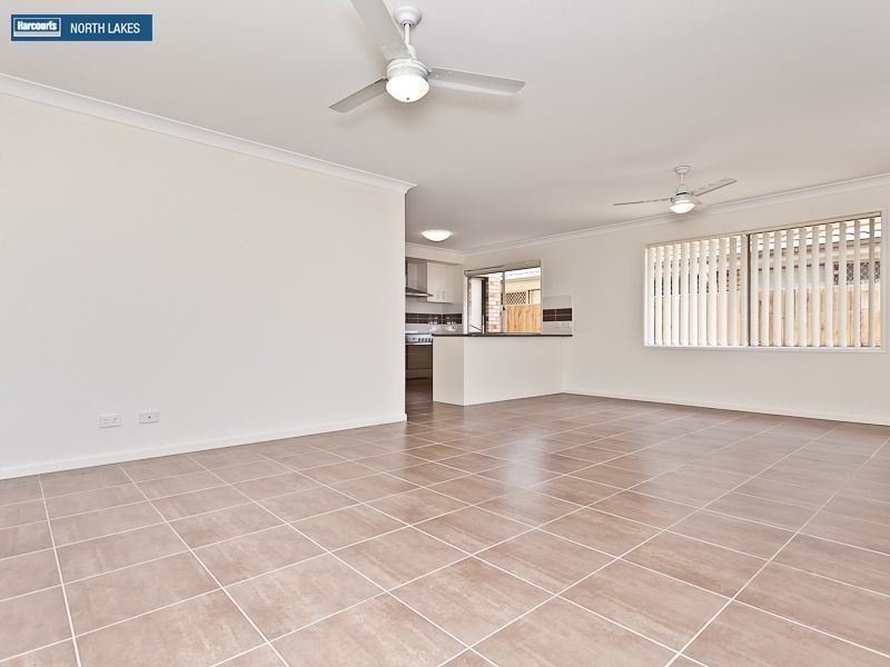 41 Daintree Circuit, North Lakes QLD 4509