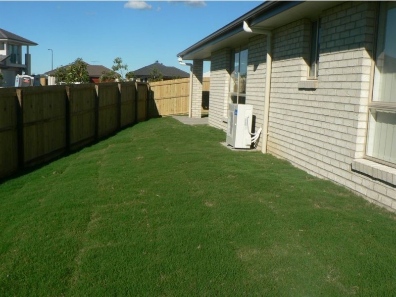 19 Bellenden Street, North Lakes QLD 4509