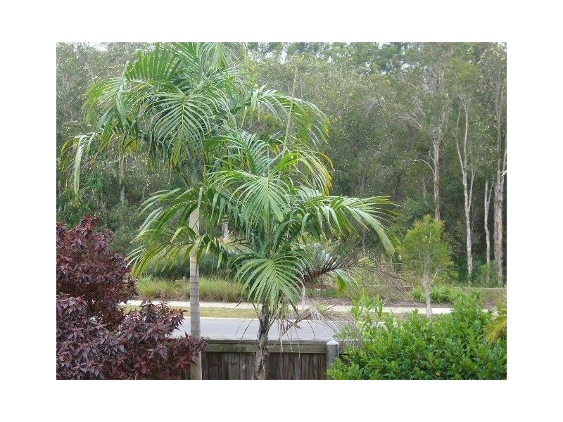 44 Lapwing Crescent, Mango Hill QLD 4509