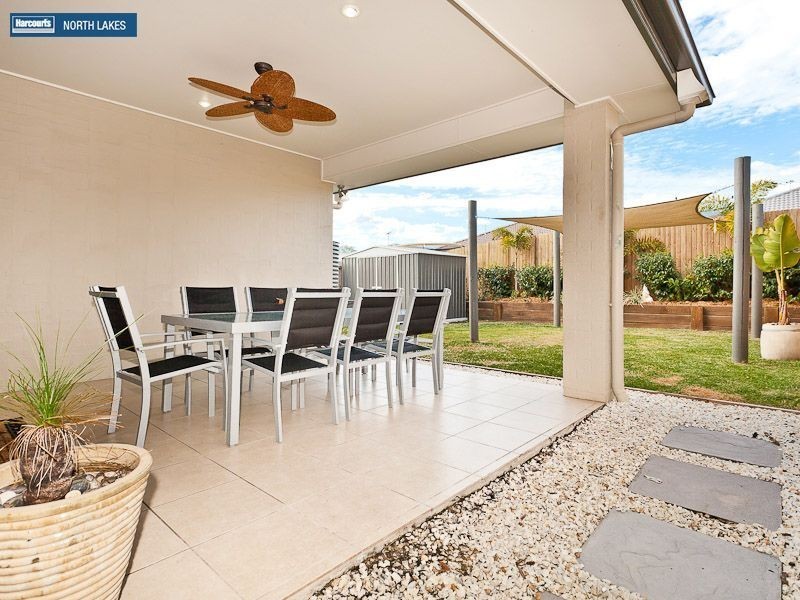 31 Kangaroo Street, North Lakes QLD 4509