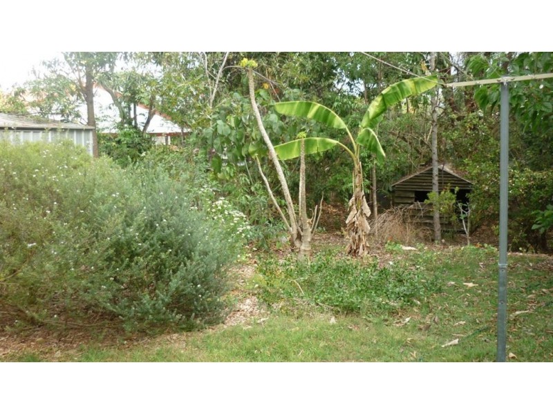 33 Hedge Street, Strathpine QLD 4500