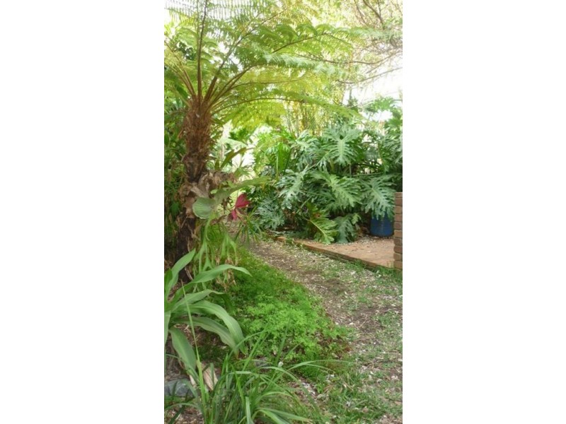 33 Hedge Street, Strathpine QLD 4500