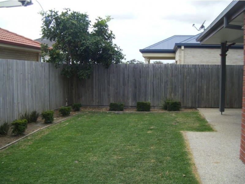 3 Pandorea Circuit, North Lakes QLD 4509