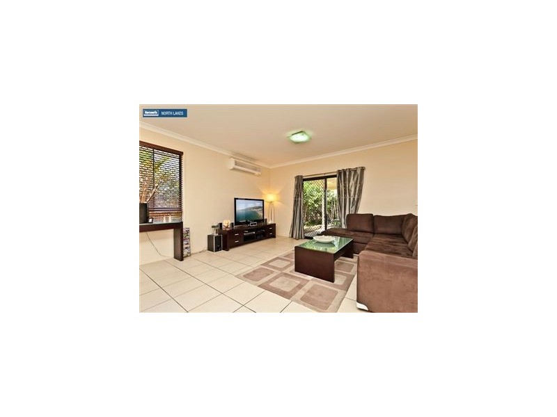 49 Kurrajong Circuit, North Lakes QLD 4509