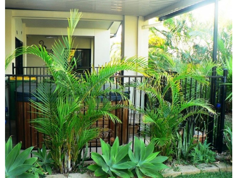 26 Cottonwood Cct, North Lakes QLD 4509