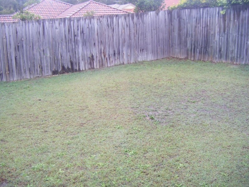 14 Ninderry Street, North Lakes QLD 4509