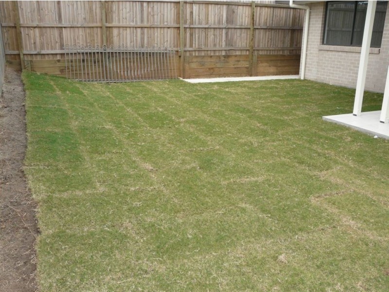 6 Elderflower Circuit, Griffin QLD 4503