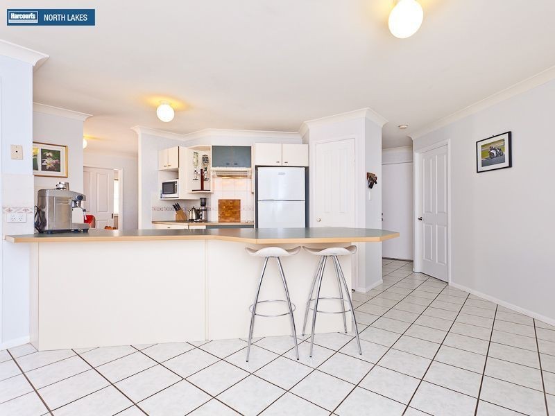 17 Kalmia Close, Mango Hill QLD 4509