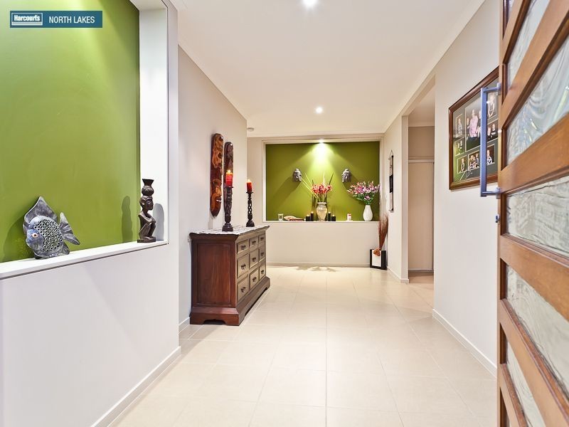 53 Numbat Street, North Lakes QLD 4509