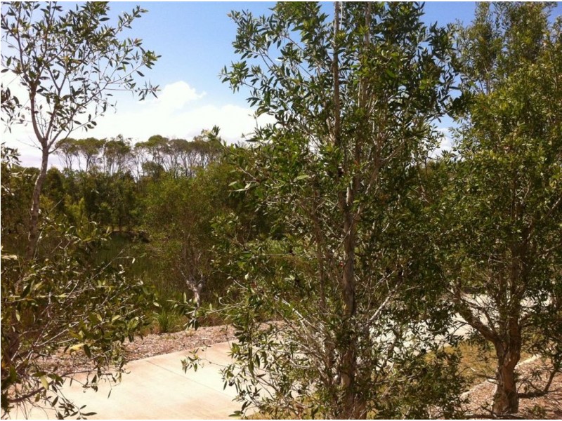 6 Kultarr Street, North Lakes QLD 4509