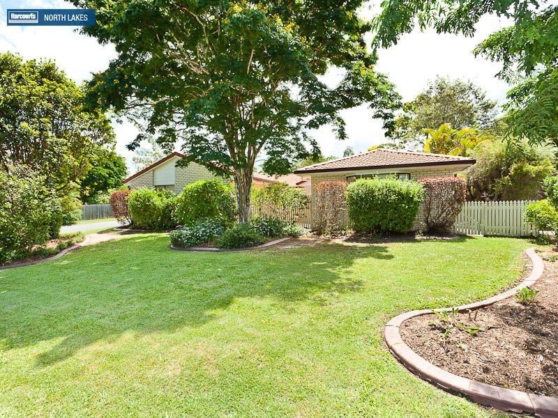 19 Macquarie Drive, Petrie QLD 4502