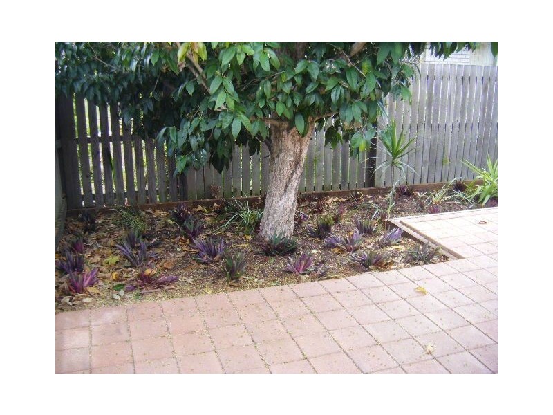 8/17 Denham Street, Bracken Ridge QLD 4017