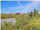 38 Menara Circuit, North Lakes QLD 4509