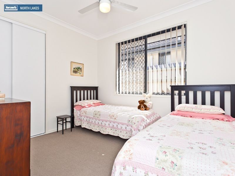 17 Gibbs Street, North Lakes QLD 4509