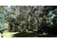 1195 Oakey Flat Road, Narangba QLD 4504