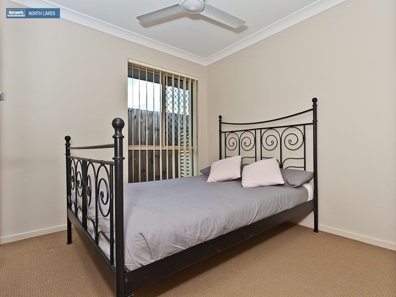 3 Daintree Circuit, North Lakes QLD 4509