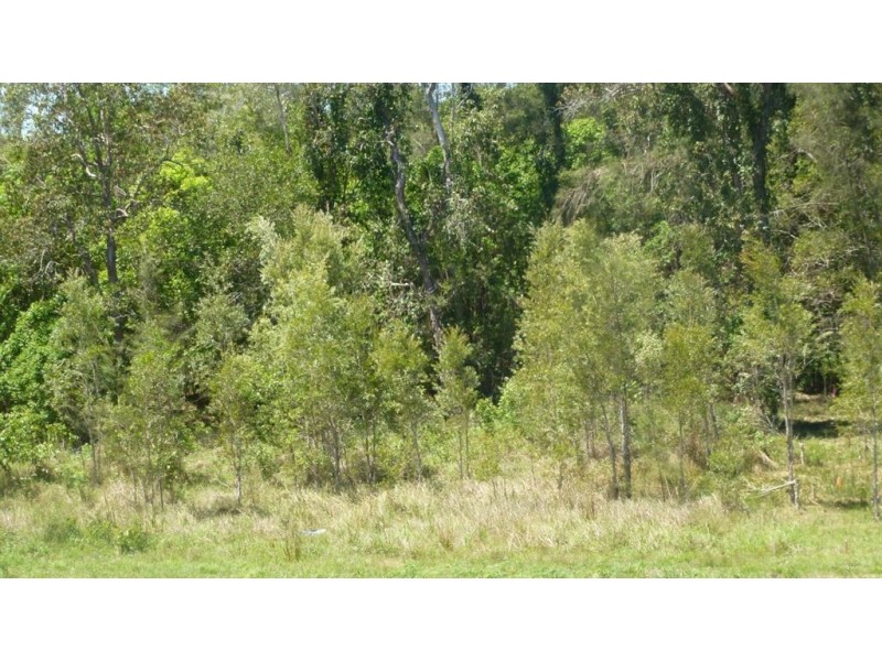 63 Muscat Circuit, Morayfield QLD 4506