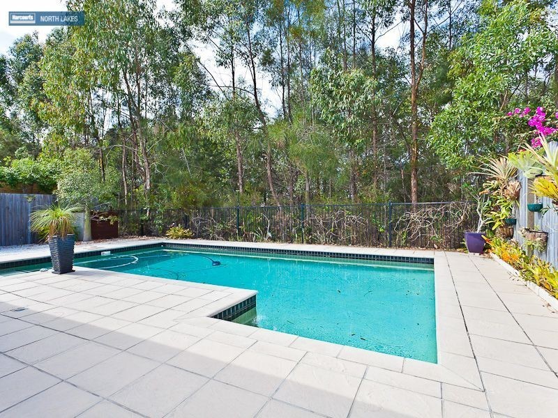 8 Hoya Close, North Lakes QLD 4509