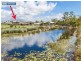 16 Wallaroo Circuit, North Lakes QLD 4509
