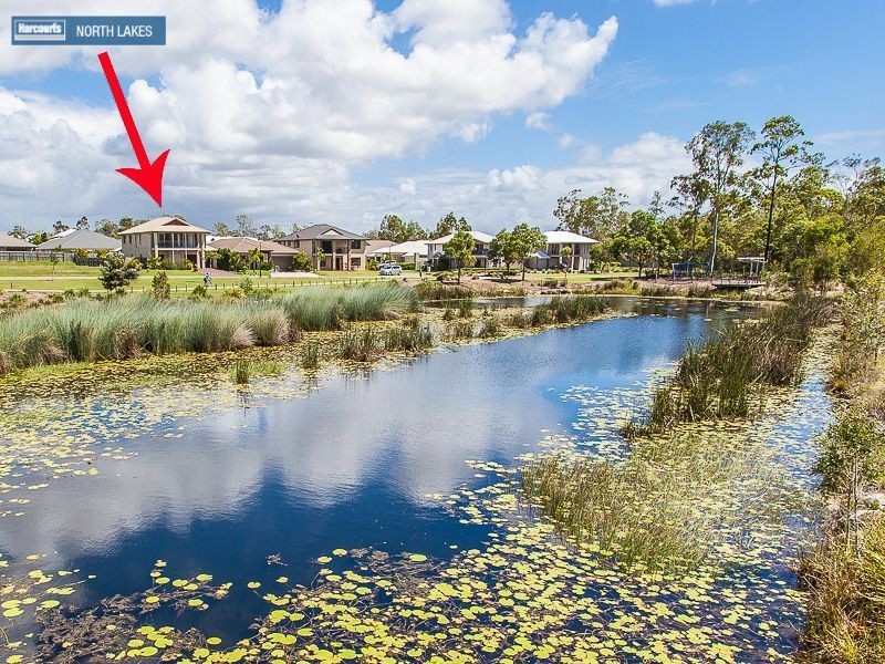 16 Wallaroo Circuit, North Lakes QLD 4509