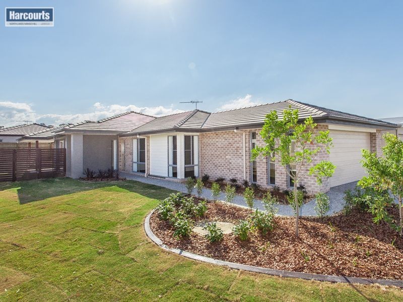 7 Glengrove Circuit, Mango Hill QLD 4509