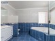 10 Gannet Circuit, North Lakes QLD 4509