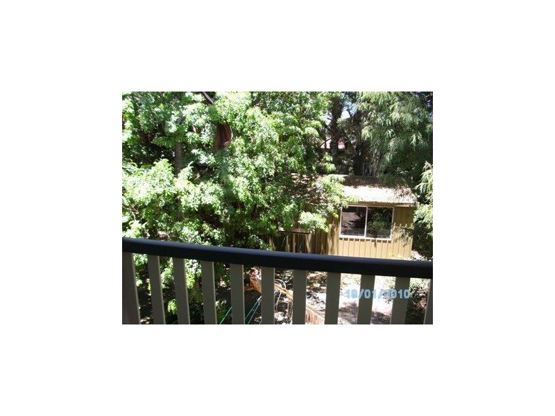 41 Rothbury Street, Bald Hills QLD 4036