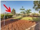 31 Planigale Crescent, North Lakes QLD 4509