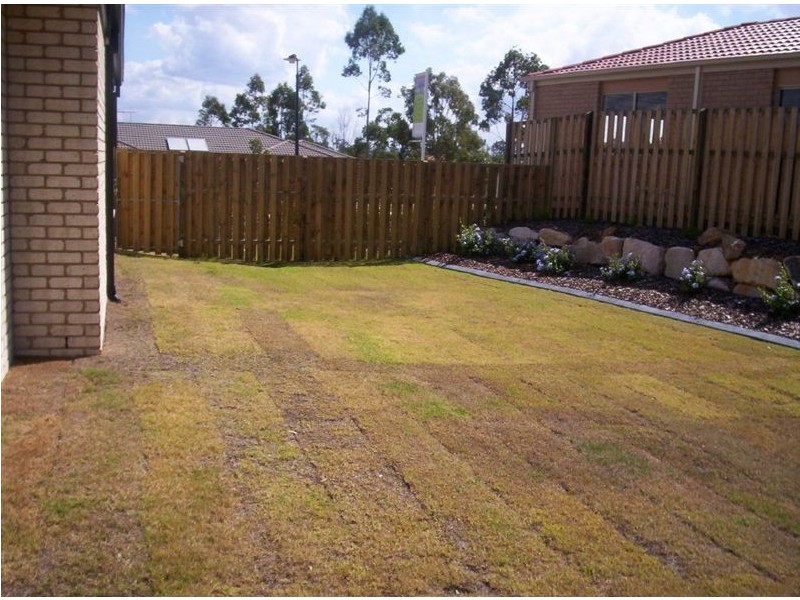 3 Grace Street, Mango Hill QLD 4509