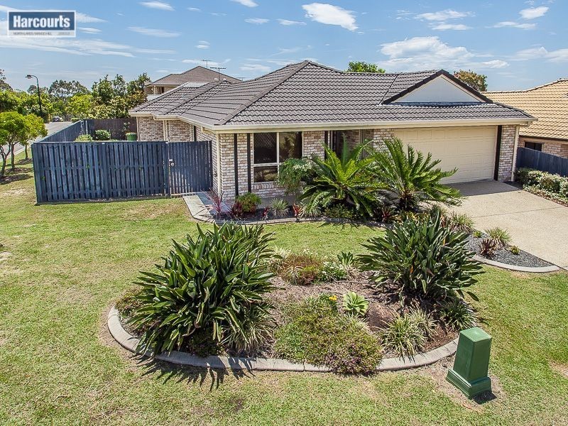 17 Samson Street, North Lakes QLD 4509